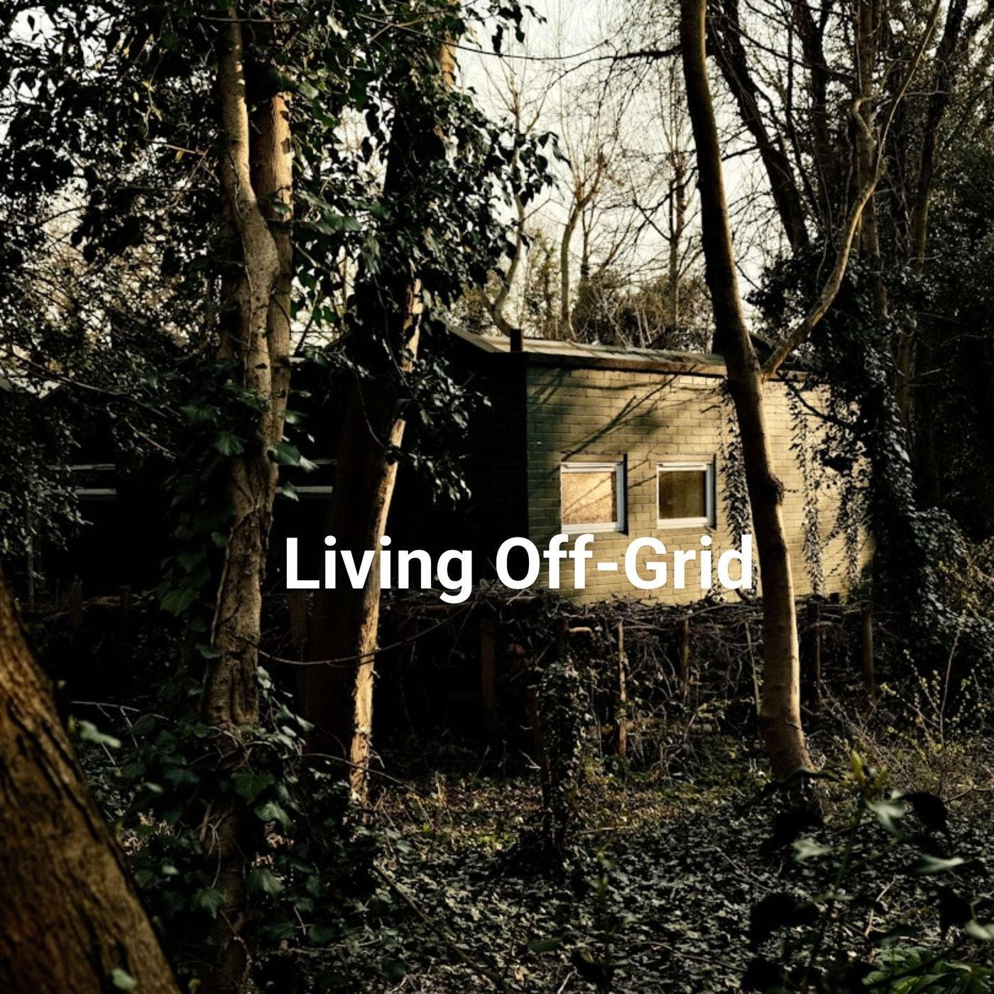 Living Off-Grid
