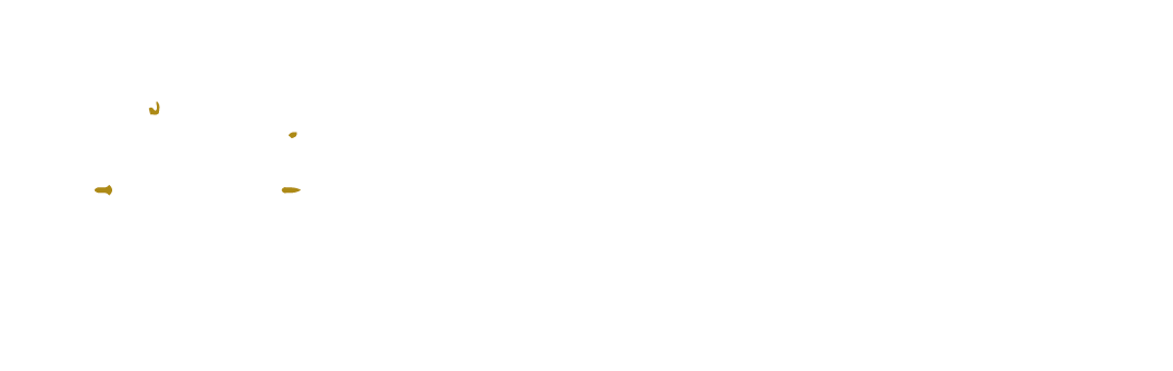 The Show Up! Podcast