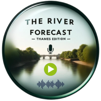 The River Forecast