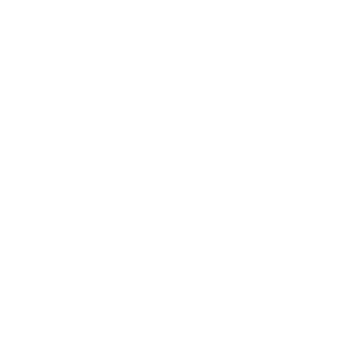 The Mirror Project Podcast