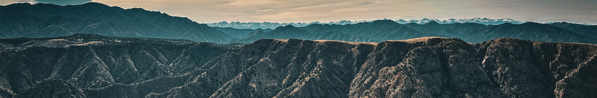 Thought Experiment Called Life