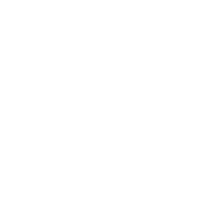 The Executive Appeal: Insights from Influencers