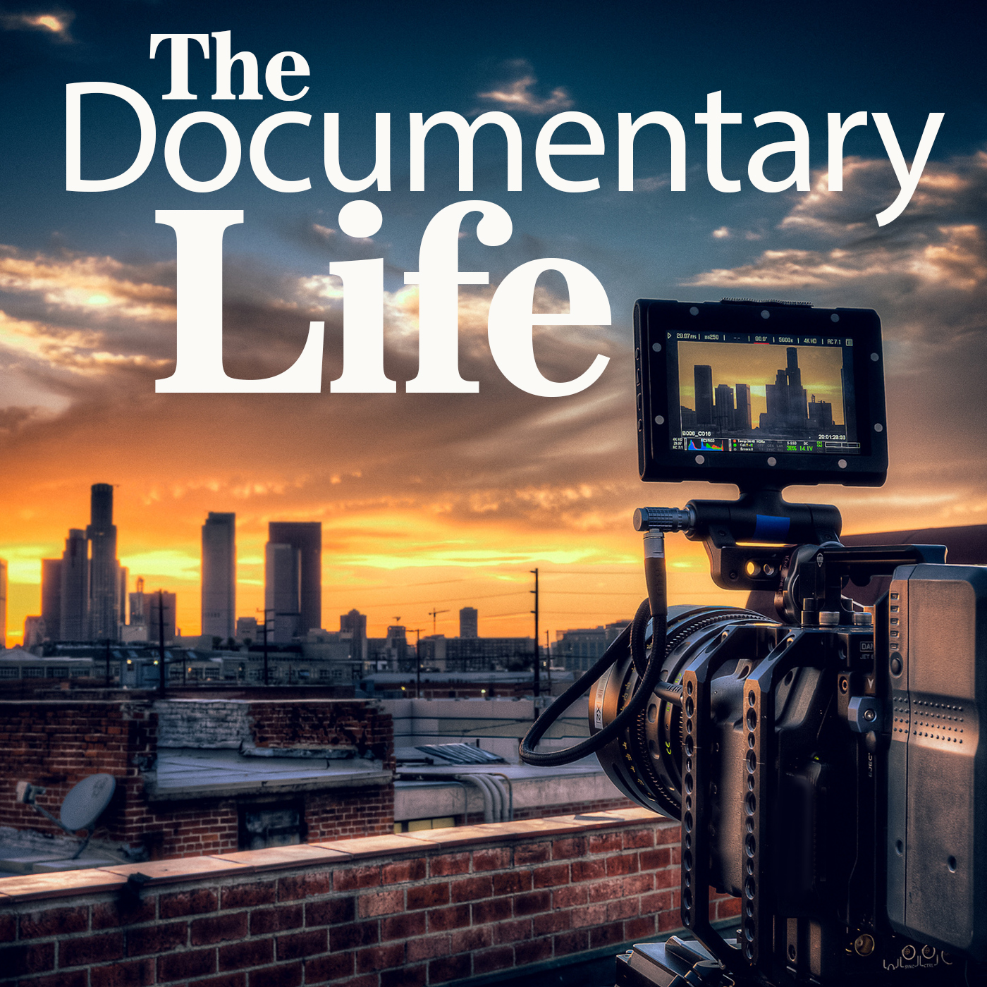 The Documentary Life