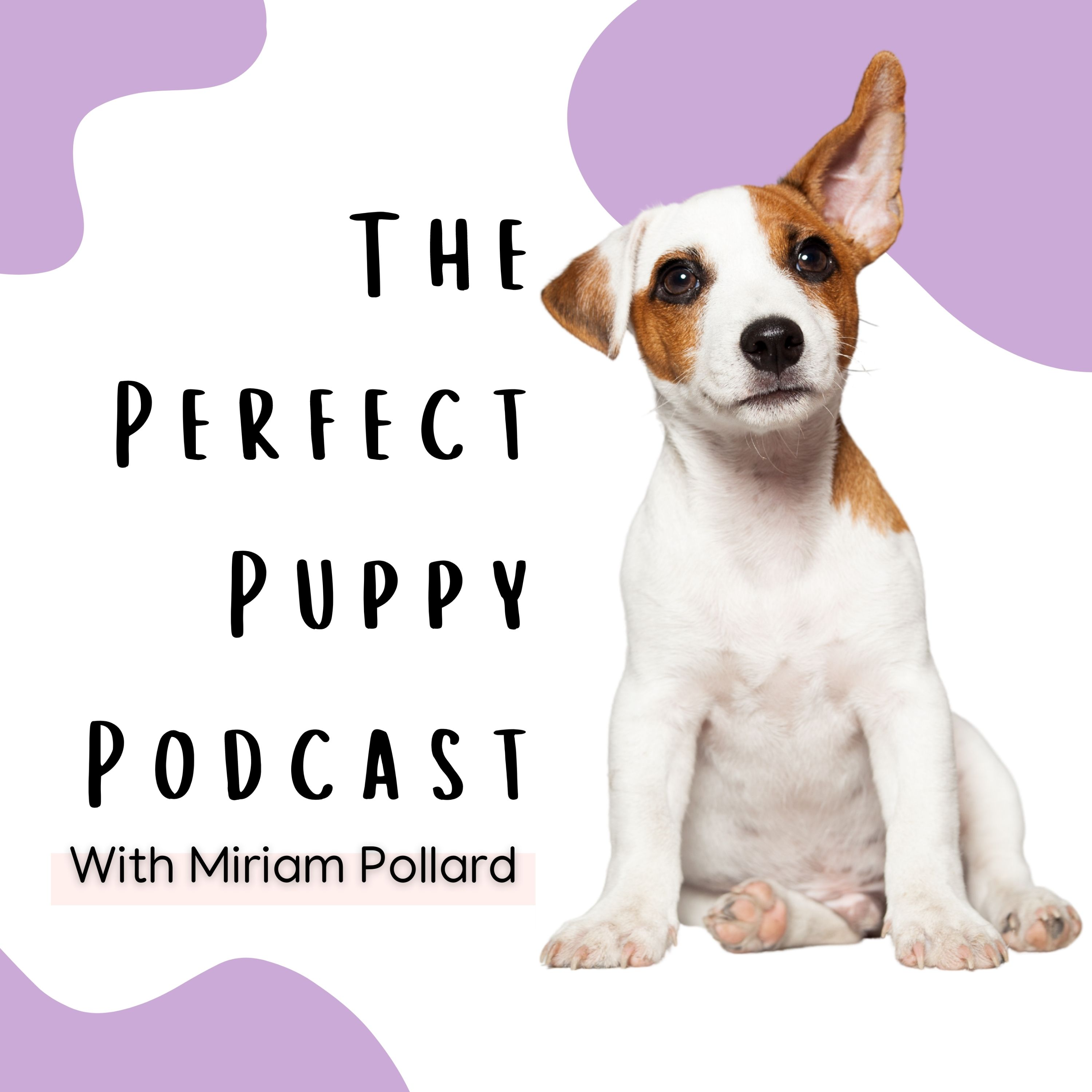 The Perfect Puppy Podcast