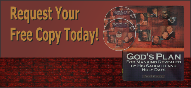 God's Purpose/Plan For Mankind