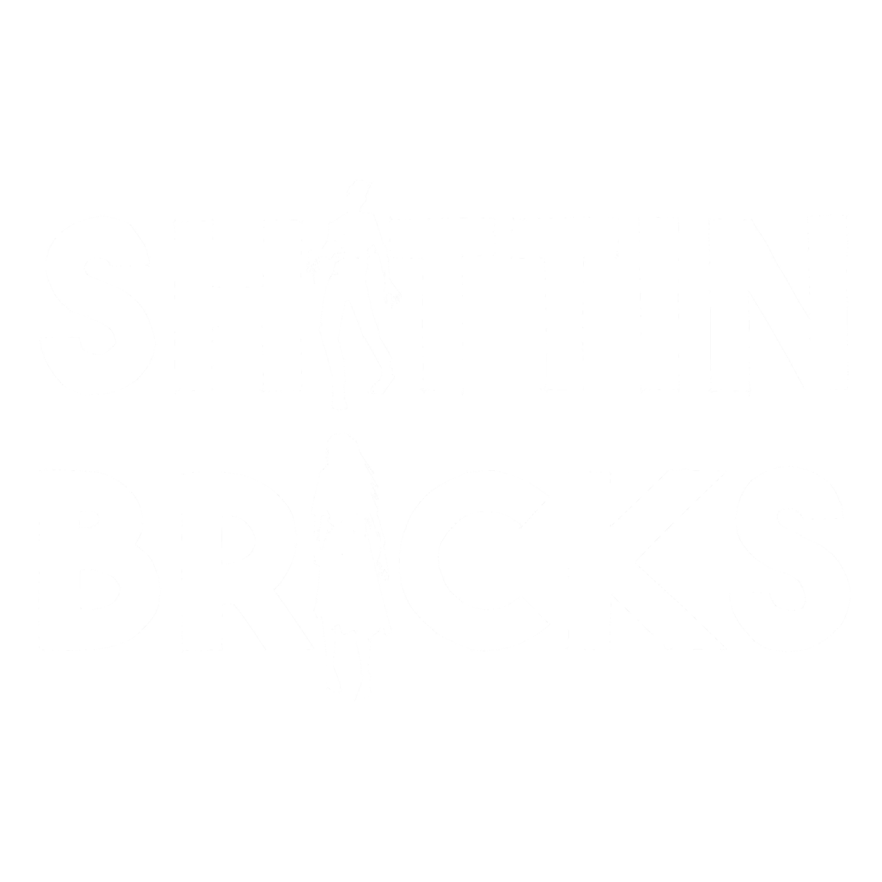 Shittin Bricks