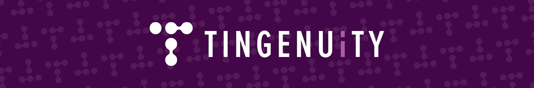 Tingenuity AI