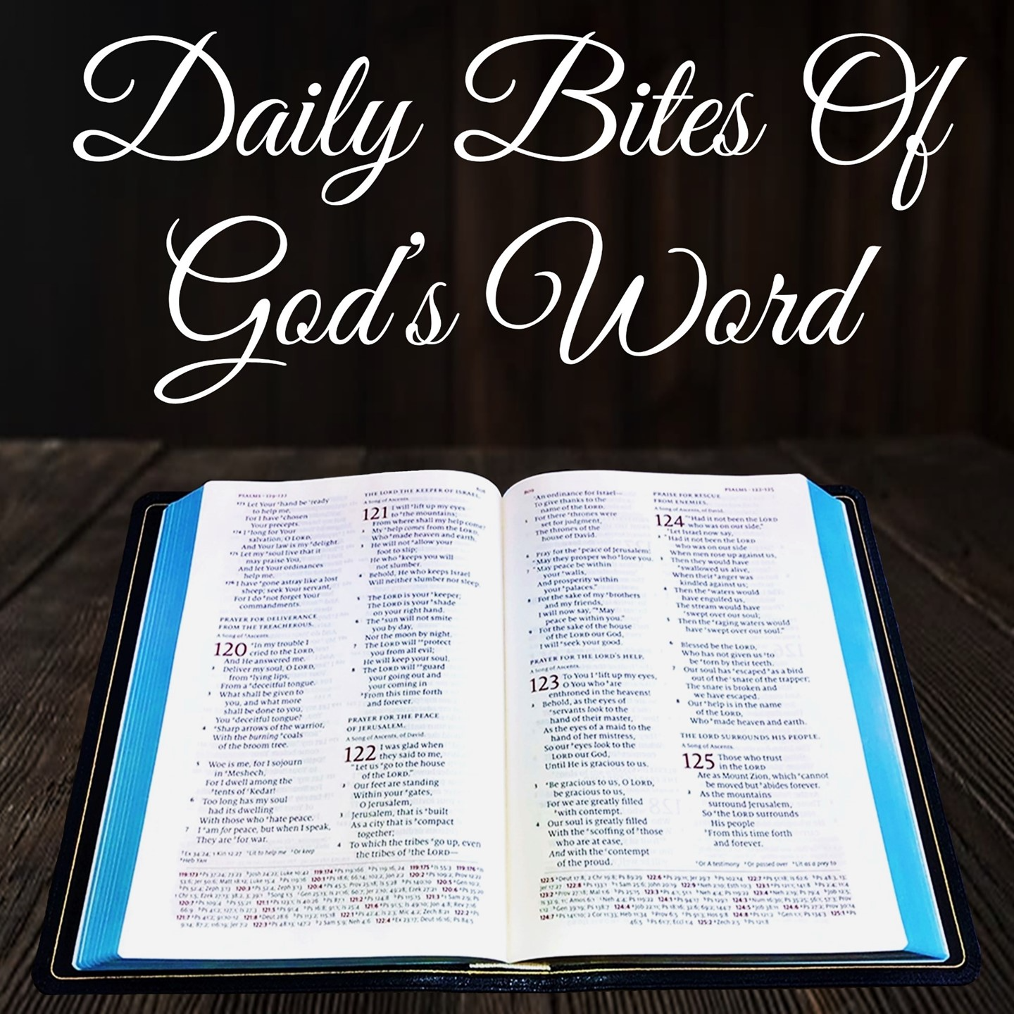 Daily Bites Of God's Word
