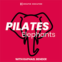 Pilates Elephants